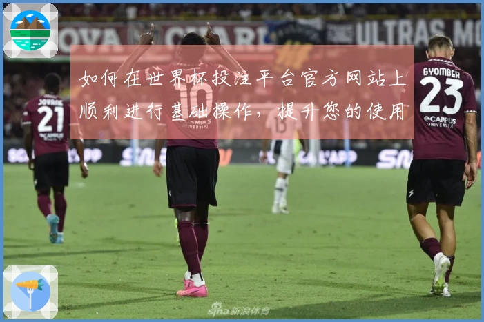 如何在世界杯投注平台官方网站上顺利进行基础操作，提升您的使用体验